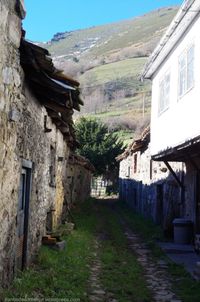 llanos-de-somerc3b3n-diciembre-2014-12